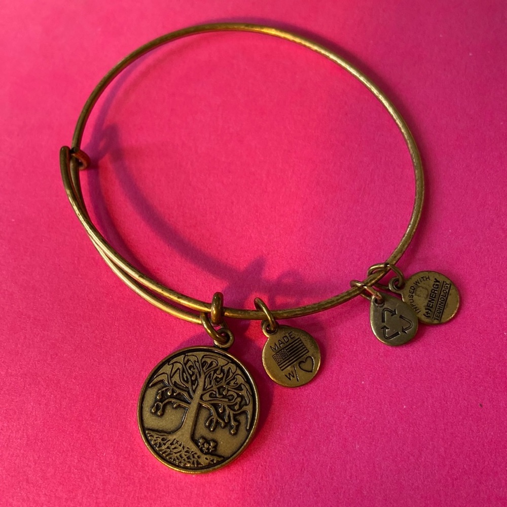 Alex and Ani Tree of Life bracelet